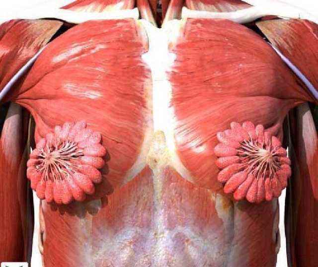 粉红120乳腺健康：乳腺炎早期症状早发现